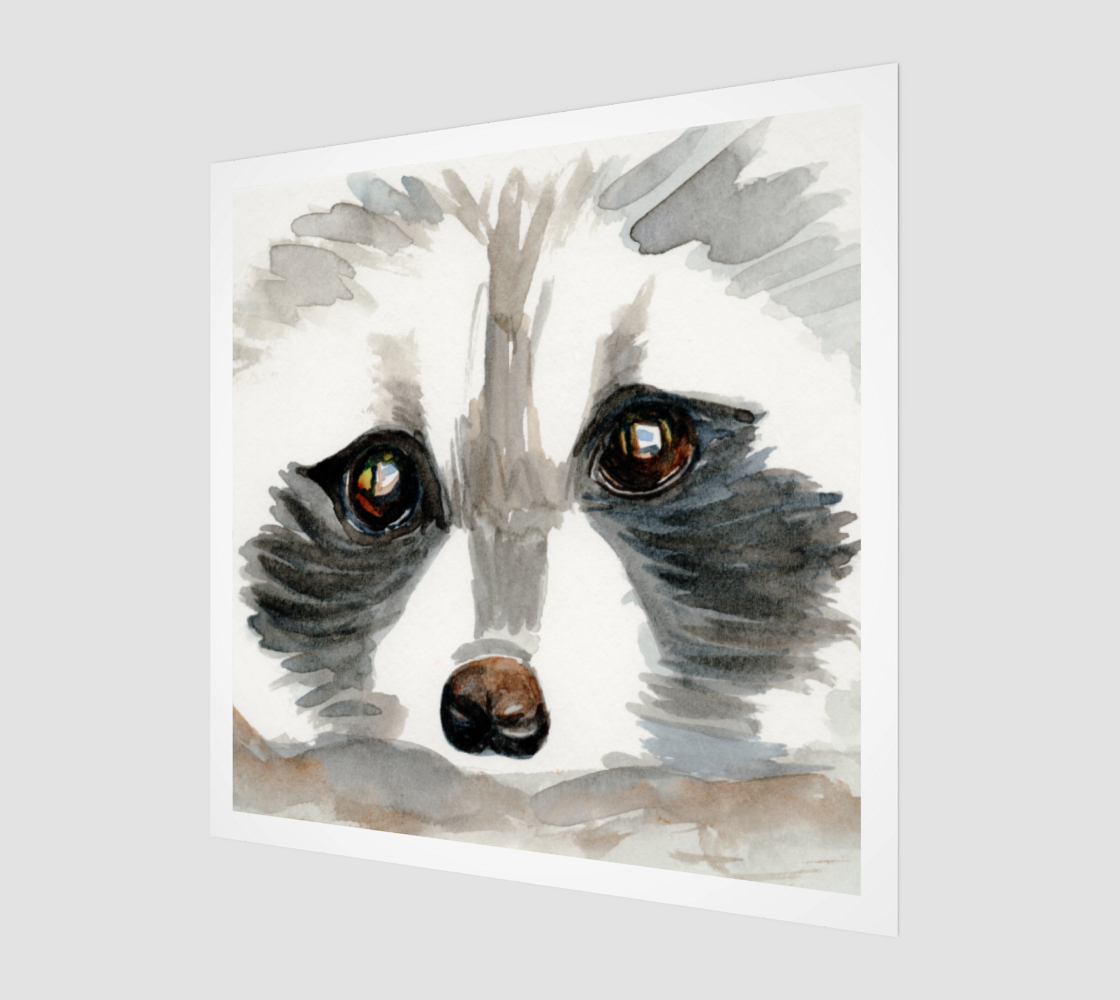 Raccoon Art Print